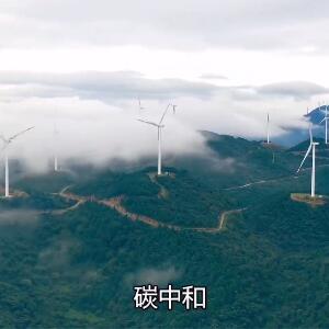 Carbon neutrality is a big test of governing ability, it is related to the community of human destiny, carbon neutrality, carbon peaking, pulp molding, plant fiber molding, climate economy